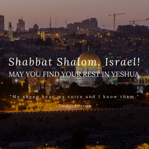 Shabbat Shalom, Israel! | Torah Sisters