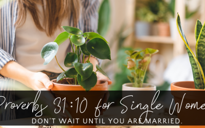 Proverbs 31:10 for Single Women
