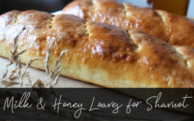 Milk and Honey Loaves for Shavuot
