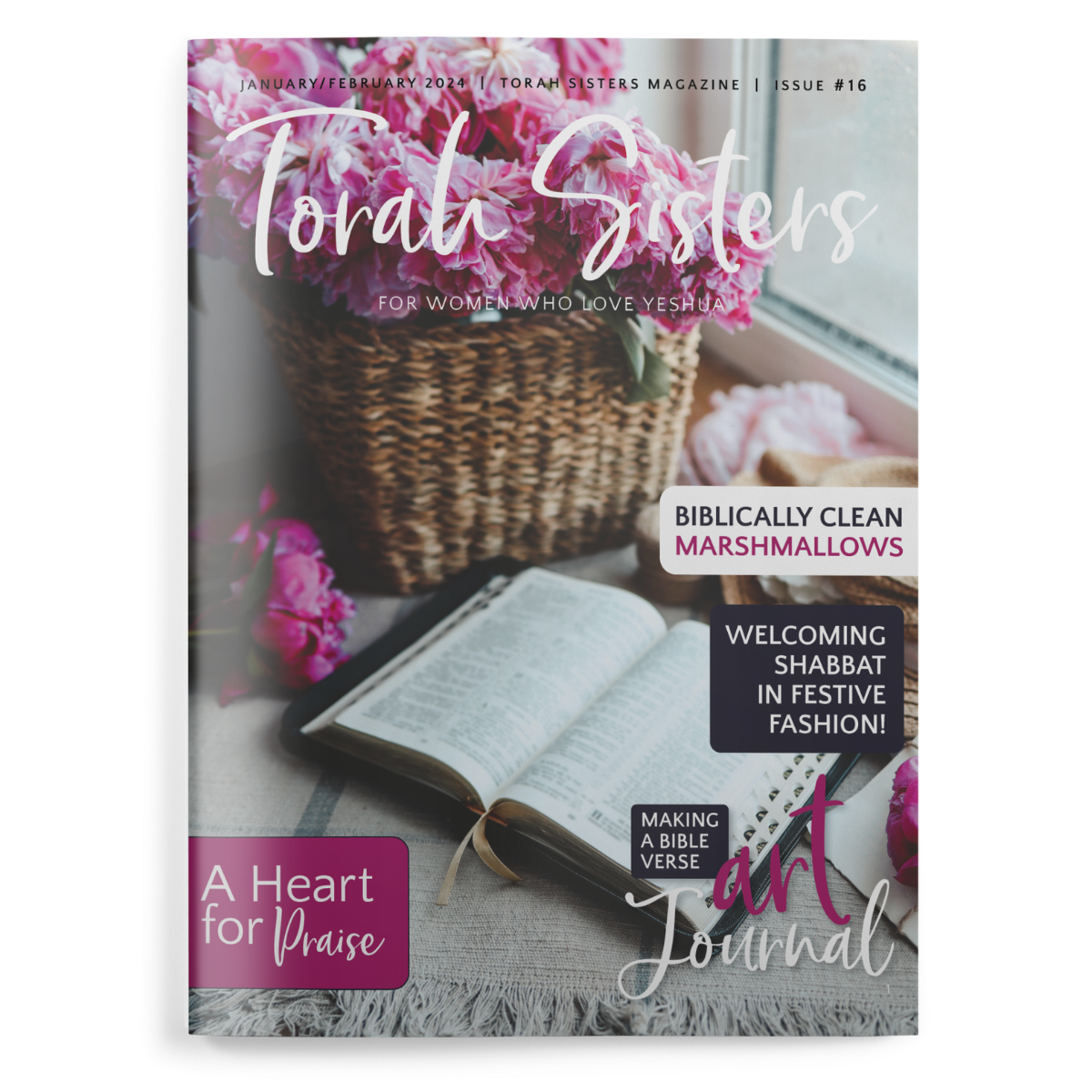 Torah Sisters Magazine Subscription