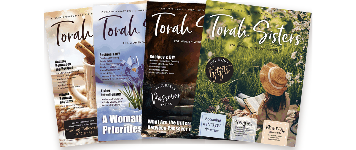 hero-magazines Recent issues of Torah Sisters Magazine